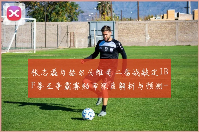 张志磊与赫尔戈维奇二番战敲定IBF拳王争霸赛赔率深度解析与预测