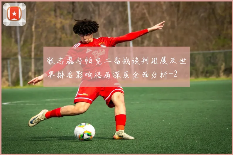 张志磊与帕克二番战谈判进展及世界排名影响格局深度全面分析