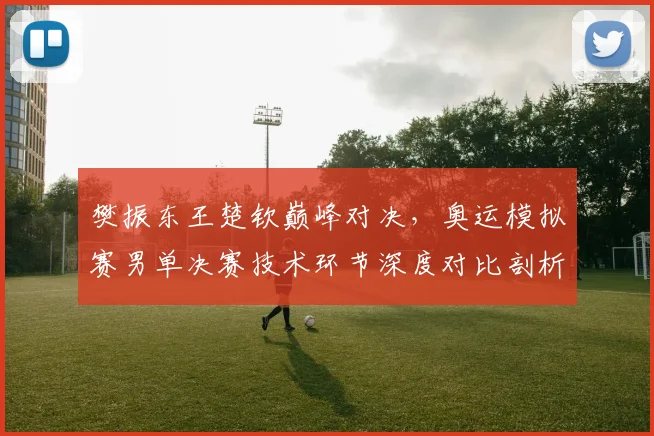 樊振东王楚钦巅峰对决，奥运模拟赛男单决赛技术环节深度对比剖析