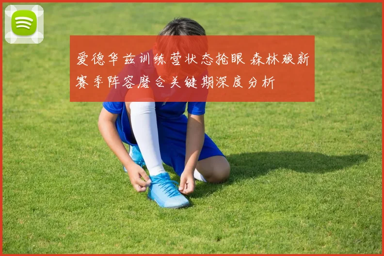爱德华兹训练营状态抢眼 森林狼新赛季阵容磨合关键期深度分析