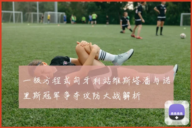 一级方程式匈牙利站维斯塔潘与诺里斯冠军争夺攻防大战解析