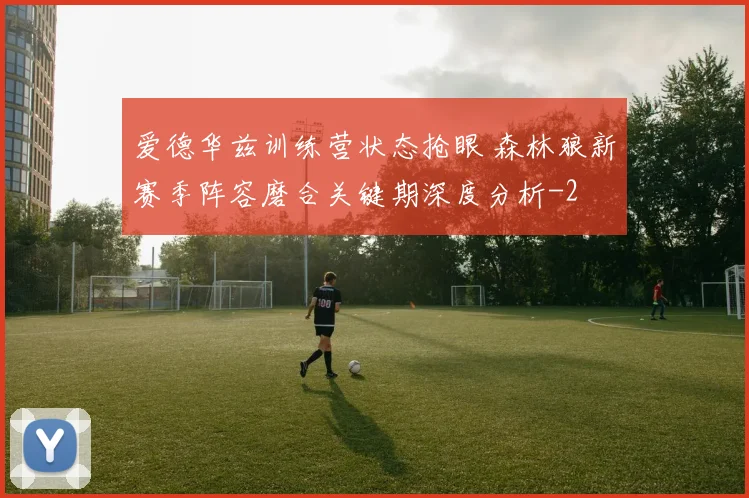 爱德华兹训练营状态抢眼 森林狼新赛季阵容磨合关键期深度分析